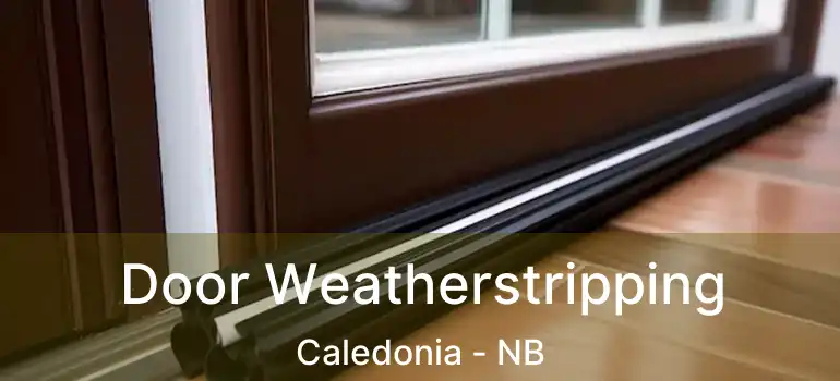  Door Weatherstripping Caledonia - NB