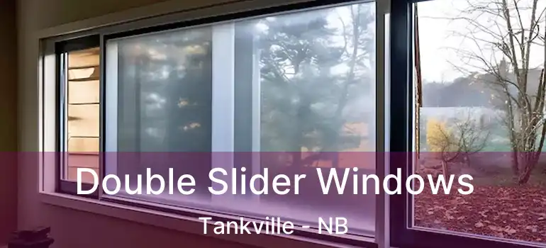  Double Slider Windows Tankville - NB