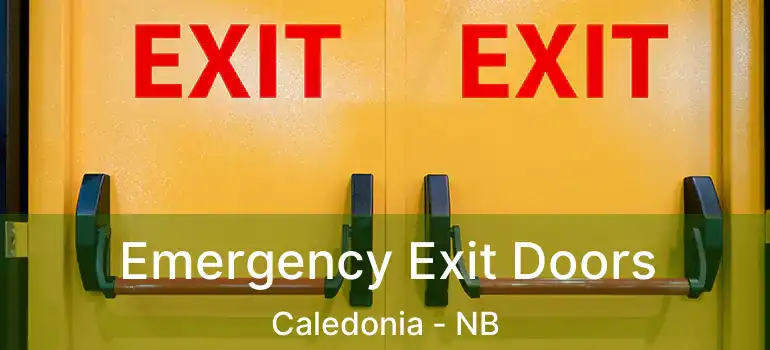  Emergency Exit Doors Caledonia - NB
