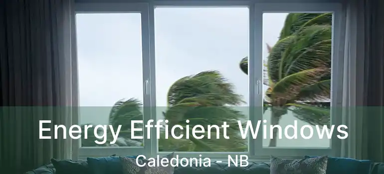  Energy Efficient Windows Caledonia - NB