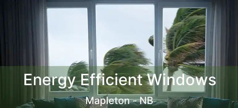  Energy Efficient Windows Mapleton - NB
