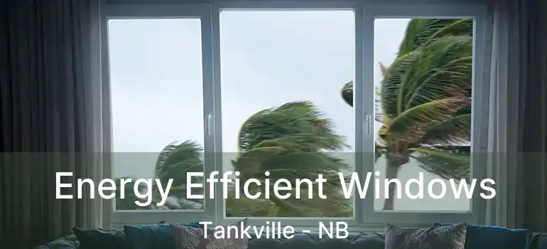  Energy Efficient Windows Tankville - NB