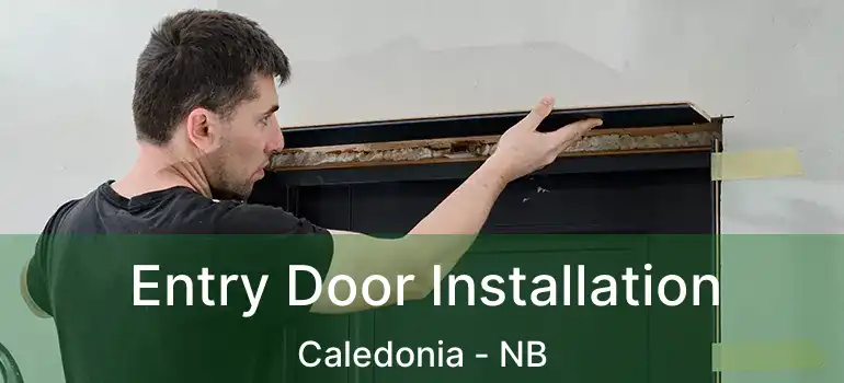  Entry Door Installation Caledonia - NB