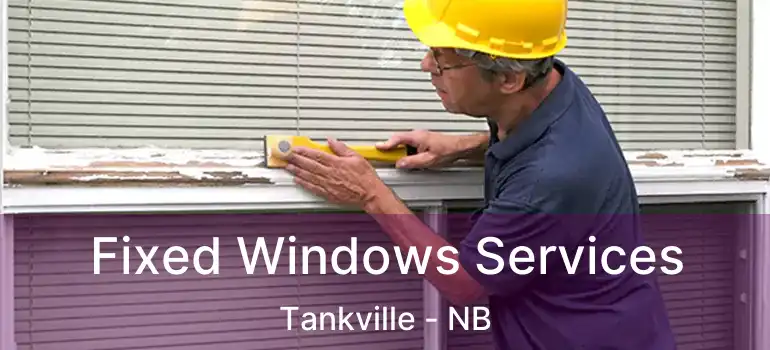  Fixed Windows Services Tankville - NB