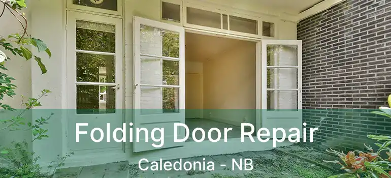  Folding Door Repair Caledonia - NB