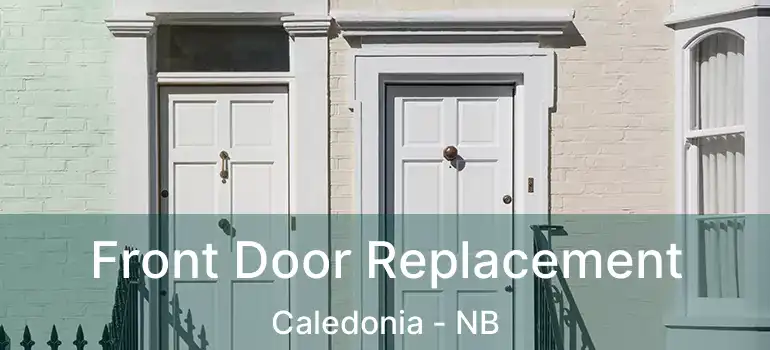  Front Door Replacement Caledonia - NB