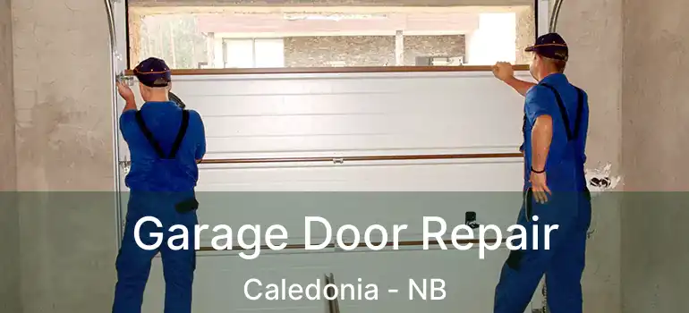  Garage Door Repair Caledonia - NB