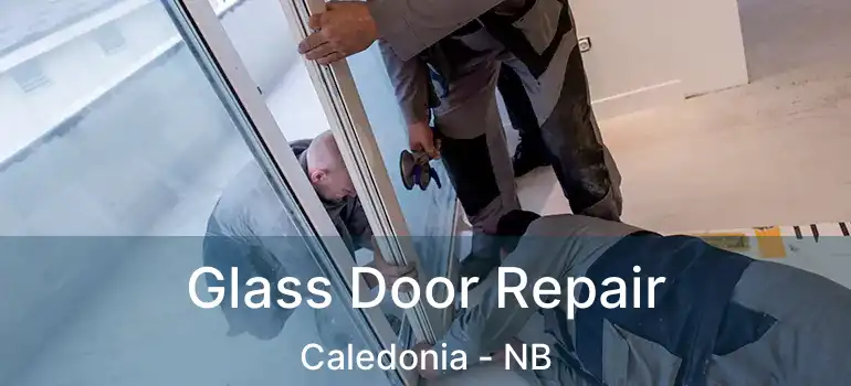  Glass Door Repair Caledonia - NB