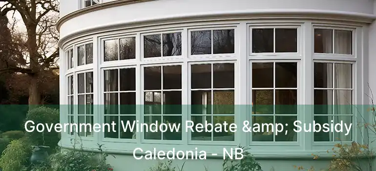  Government Window Rebate & Subsidy Caledonia - NB