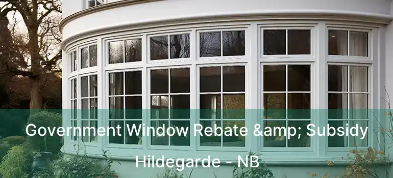  Government Window Rebate & Subsidy Hildegarde - NB