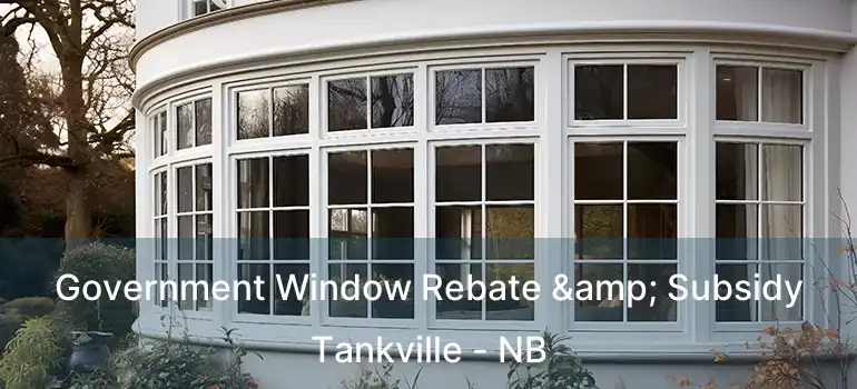  Government Window Rebate & Subsidy Tankville - NB