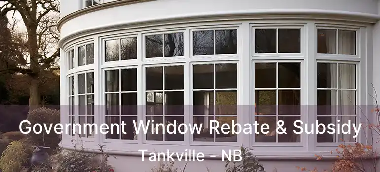  Government Window Rebate & Subsidy Tankville - NB