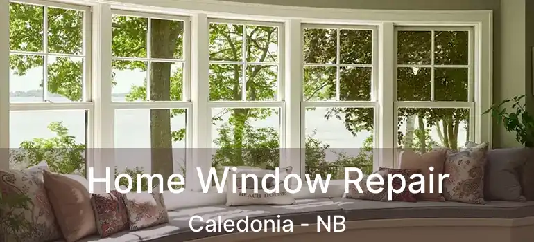  Home Window Repair Caledonia - NB