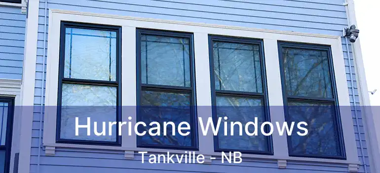 Hurricane Windows Tankville - NB