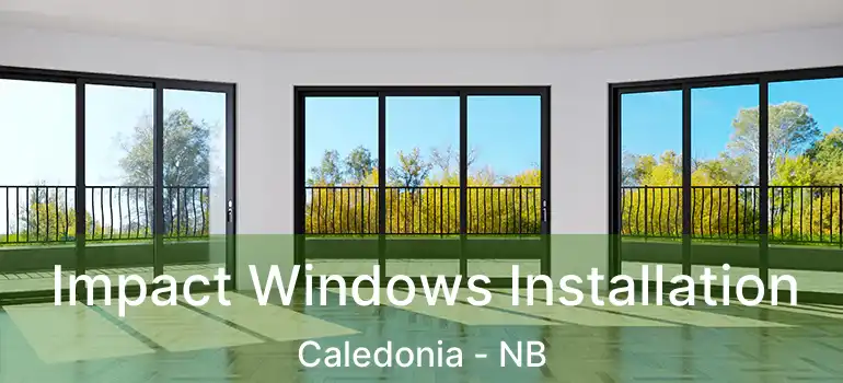  Impact Windows Installation Caledonia - NB