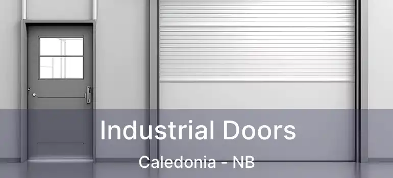  Industrial Doors Caledonia - NB
