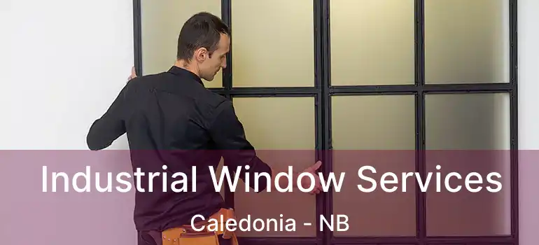  Industrial Window Services Caledonia - NB