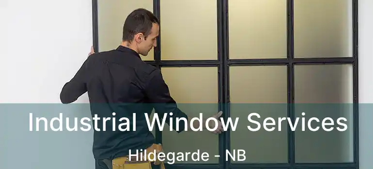  Industrial Window Services Hildegarde - NB