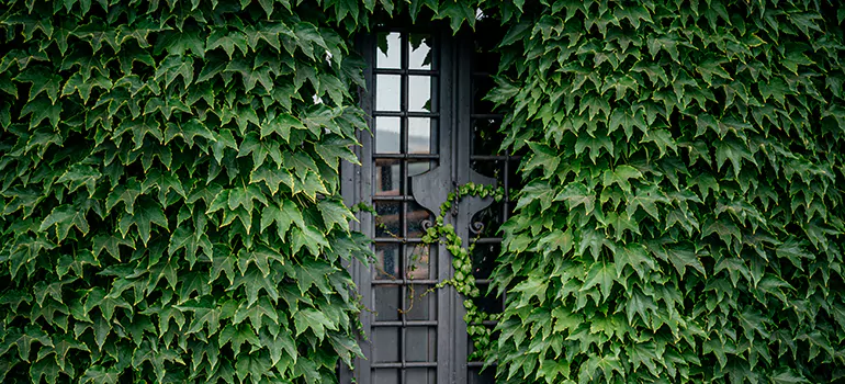Garden Gate Repair in Moncton, NB