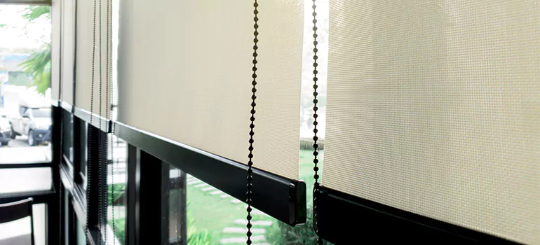 Blackout Window Shades in Moncton, New Brunswick