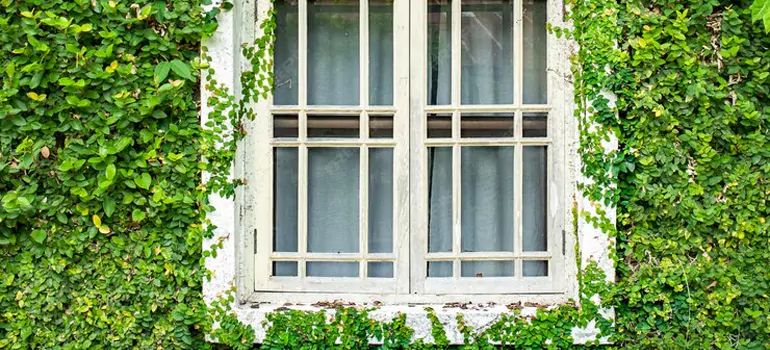 arden Window Repair Near Me in Moncton, NB