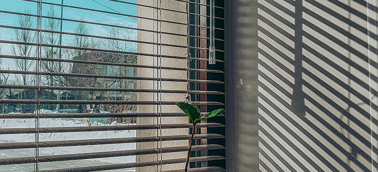 Commercial Window Blinds in Moncton, NB