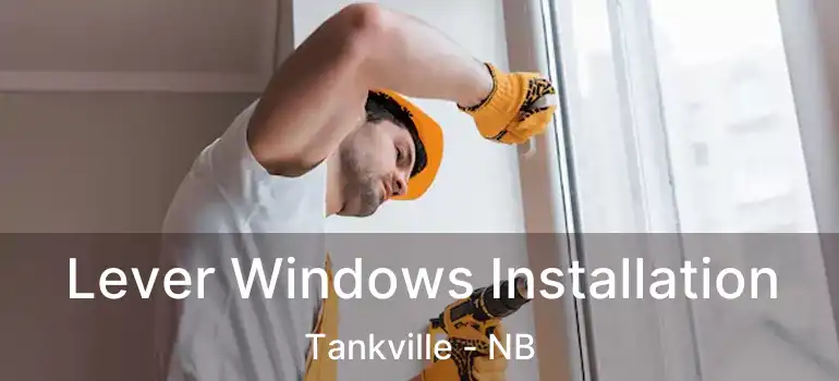  Lever Windows Installation Tankville - NB