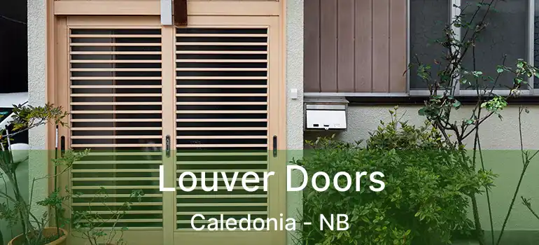  Louver Doors Caledonia - NB
