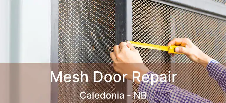 Mesh Door Repair Caledonia - NB