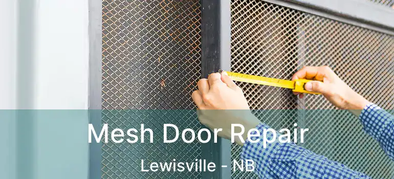  Mesh Door Repair Lewisville - NB