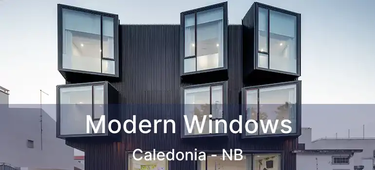  Modern Windows Caledonia - NB