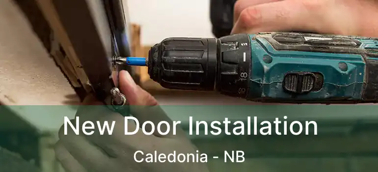  New Door Installation Caledonia - NB