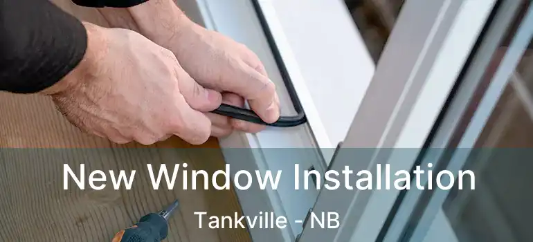  New Window Installation Tankville - NB