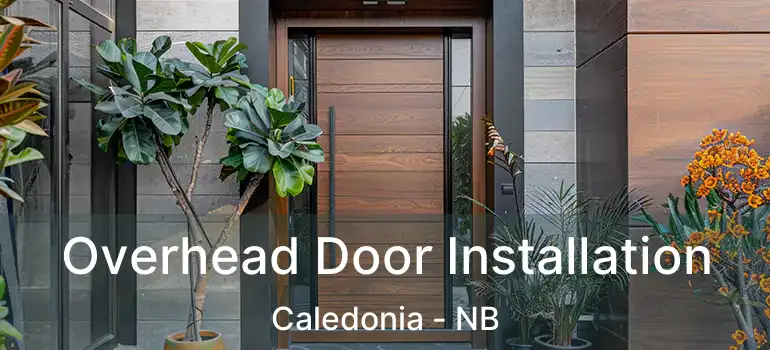  Overhead Door Installation Caledonia - NB