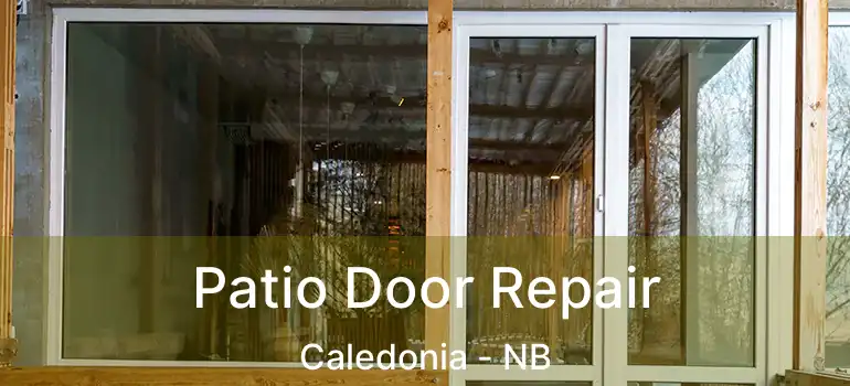  Patio Door Repair Caledonia - NB