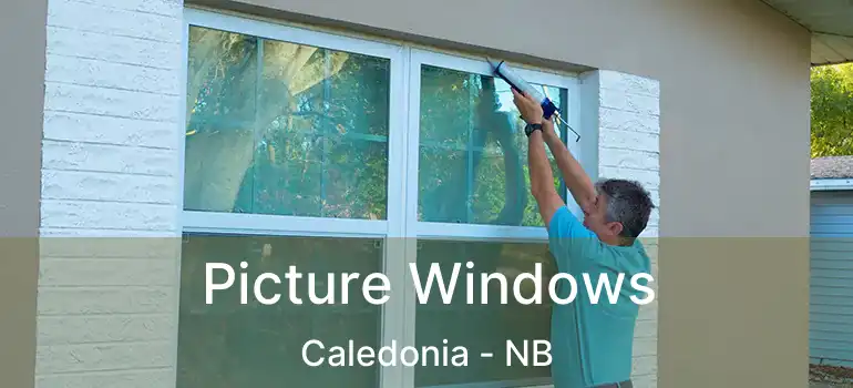  Picture Windows Caledonia - NB