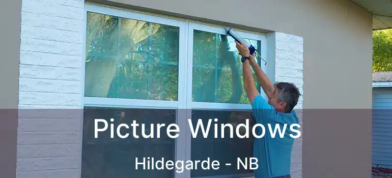  Picture Windows Hildegarde - NB