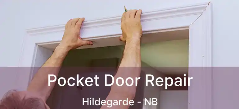  Pocket Door Repair Hildegarde - NB