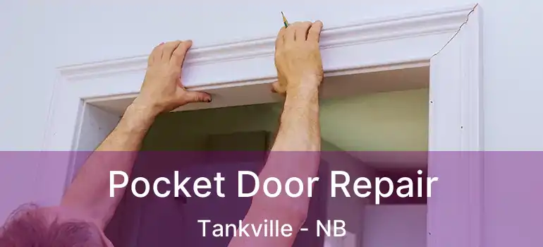  Pocket Door Repair Tankville - NB