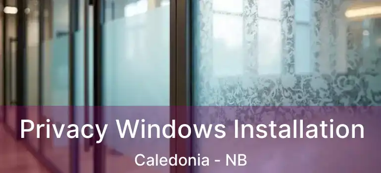  Privacy Windows Installation Caledonia - NB