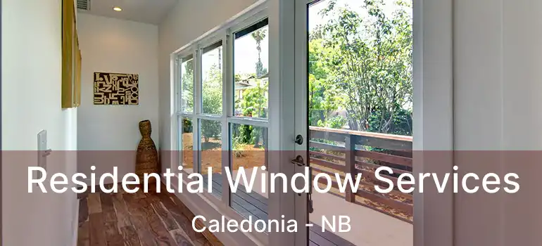  Residential Window Services Caledonia - NB