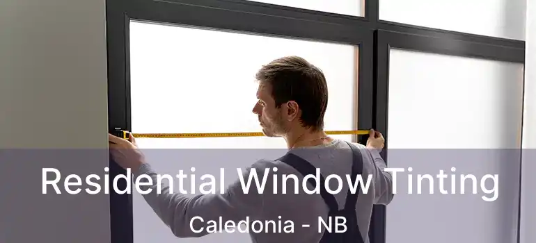  Residential Window Tinting Caledonia - NB