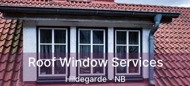  Roof Window Services Hildegarde - NB