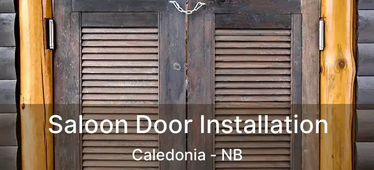  Saloon Door Installation Caledonia - NB