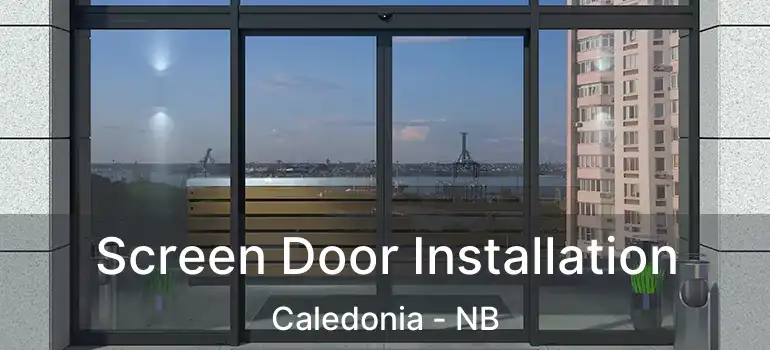  Screen Door Installation Caledonia - NB