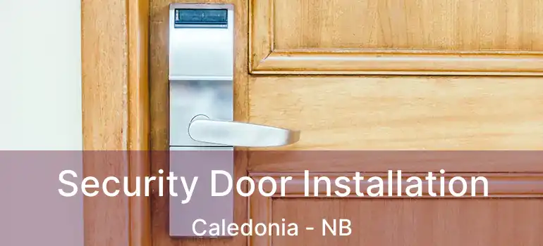  Security Door Installation Caledonia - NB