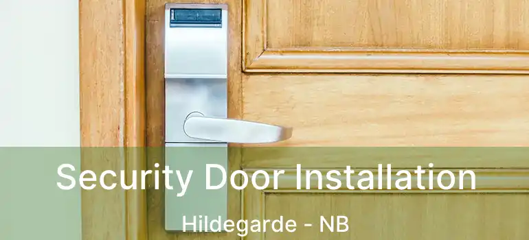  Security Door Installation Hildegarde - NB