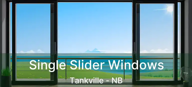  Single Slider Windows Tankville - NB