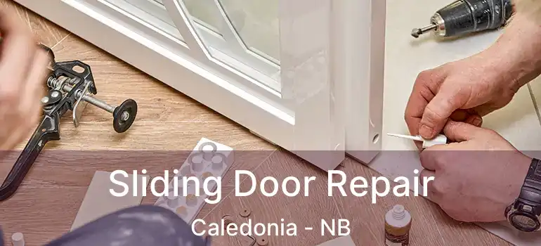 Sliding Door Repair Caledonia - NB