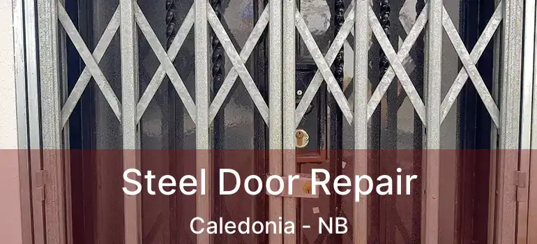  Steel Door Repair Caledonia - NB